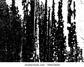 Grunge black and white background.Vector.