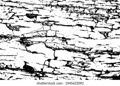 Grunge black and white. Monochrome texture of dirt, chips, and dust. Pattern of black scratches, scuffs on a white background. Abstract ink spot randomly arranged