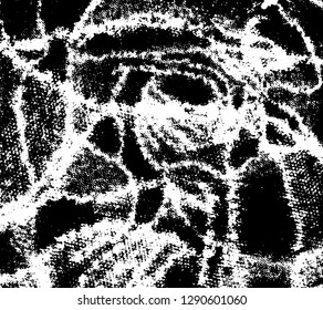 Grunge is black and white. Monochrome vector texture