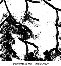 Grunge is black and white. The old surface is stained. Monochrome dirty background. The texture of the mud
