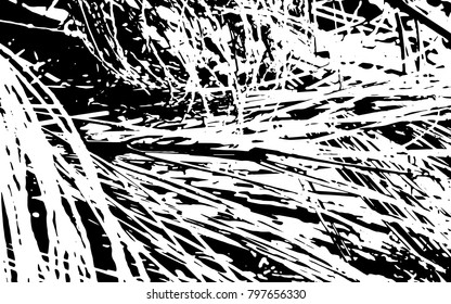 Grunge Black And White Straw Texture   Template, Dry Straw, Straw Background Texture, Abstract Natural Thatched Design