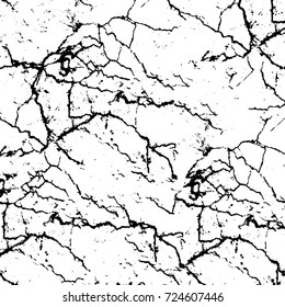 Grunge black and white texture. Vector abstract monochrome background