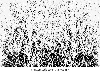 Grunge Black And White Urban Vector Texture Template. Grunge Black Background. Vintage Effect with grass style