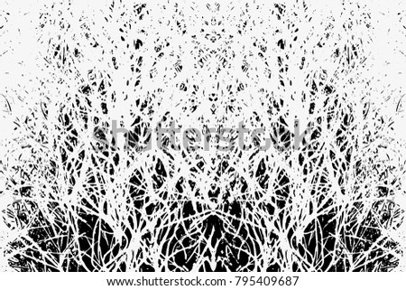 Grunge Black And White Urban Vector Texture Template. Grunge Black Background. Vintage Effect with grass style