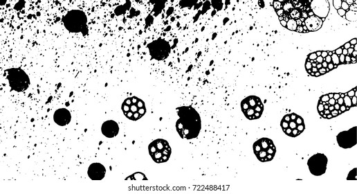 Grunge black and white vector. Abstract texture monochrome. Background of cracks, scuffs, chips, stains of ink. Dark background for printing and design