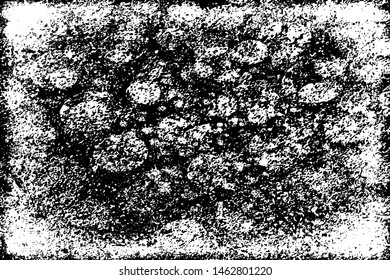 Grunge black white vector background