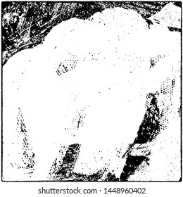 Grunge is black and white. Worn dark monochrome background. The texture of the old destroyed surface. Vector pattern of cracks and chips