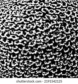 Grunge botanical texture of a compound inflorescence. Monochrome background of the rudbeckia flower structure. Overlay template. Vector illustration