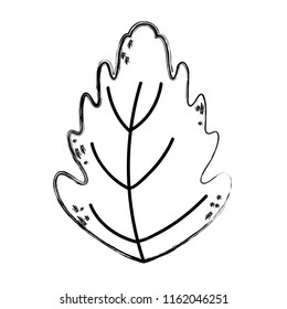 grunge botany cute leaf exotic style