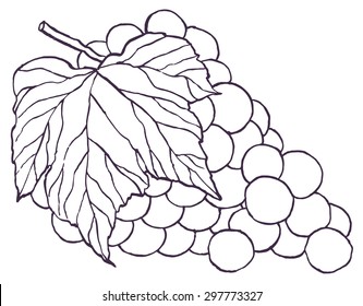Grunge bunch of grapes - vector hand drawn illustration