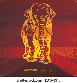 Grunge card with Elephant