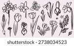 Grunge charcoal or chalk spring summer flower collection. Vector illustration of ink hand drawn wild and garden herbs set. Wax crayon drawings. Floral silhouette elements for scrapbook and collage.