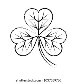 grunge clover plant with nature leaves design
