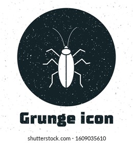 Grunge Cockroach icon isolated on white background.  Vector Illustration