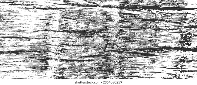 Grunge coconut palm bark texture background. Adged tree stem log. Vector illustration.