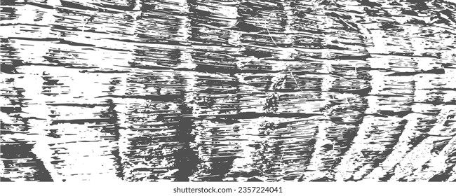 Grunge coconut palm bark texture background. Adged tree stem log. Vector illustration.