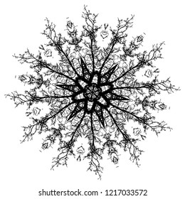 Grunge crooked tree branches without leaves silhouettes in round ornament.