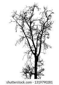 Grunge crooked tree branches without leaves, black silhouettes on white.