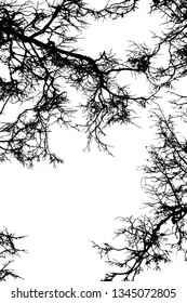 Grunge crooked tree branches without leaves, black silhouettes on white.