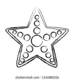 grunge cute starfish natural animal of ocean
