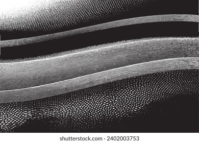 textura negra degradada de grunge sobre la ilustración vectorial de fondo blanco superpuesta textura de fondo monocromo