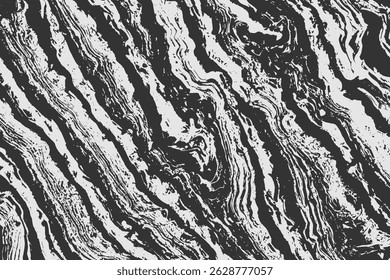 Grunge detailed intertwined texture, threads, lines, wire, veins, monochrome. Grunge old detailed black and white, gray texture. Vector background