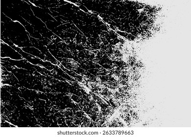 Grunge detailed intertwined texture, threads, lines, wire, veins, monochrome. Grunge old detailed black and white, gray texture. Vector background