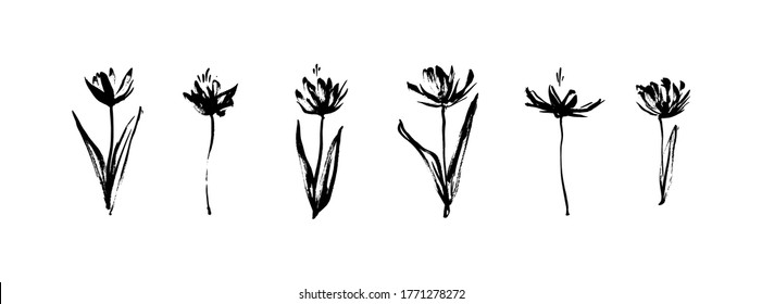 Grunge dirty decorative flowers. Hand drawn black vector floral collection, isolated on white background. Modern ink graphic art, expressive brush strokes.