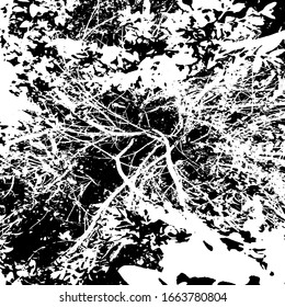 Grunge distress texture.Vector abstract background.Black and white pattern
