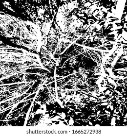 Grunar textura de distrés.Fondo abstracto del vector.Patrón blanco y negro