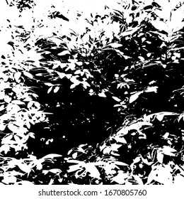 Grunge distress texture.Vector abstract background.Black and white pattern