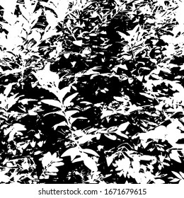 Grunar textura de distrés.Fondo abstracto del vector.Patrón blanco y negro