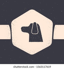 Grunge Dog icon isolated on grey background. Monochrome vintage drawing. Vector Illustration