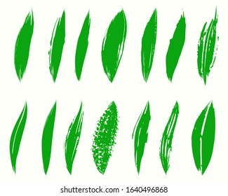 Grunge dry brush leaves set, vector, isolated