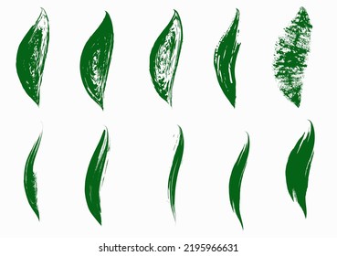 Grunge dry brush leaves set, vector, isolated