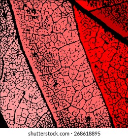 Grunge Dry Leaf Texture Vector