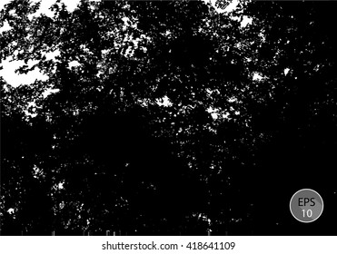 Grunge Dust Speckled Sketch Effect Texture . The Scratch Texture .