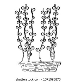 grunge ecology natural leaves plant inside flowerpot