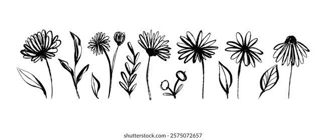 Grunge Elegant Flower Collection Hand Drawn with Black Ink Isolated on White Background. Modern Dry ink strokes of herb silhouettes. Brush dry painting of field plants