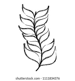 grunge exotic branch leaves natural plant