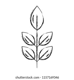 grunge exotic nice plant leaves style