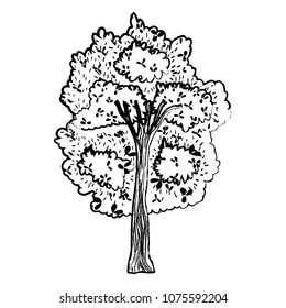 grunge exotic tree with branches leaves style