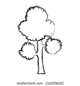 grunge exotic tree branches leaves stalk