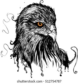 Grunge falcon