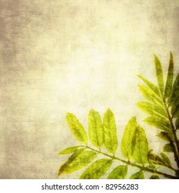 Grunge floral background vector