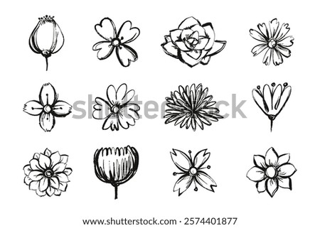 Grunge Flower Head Collection Hand Painted with Black Ink Isolated on White Background. Dry ink strokes of herb silhouettes. Brush dry painting of field plants