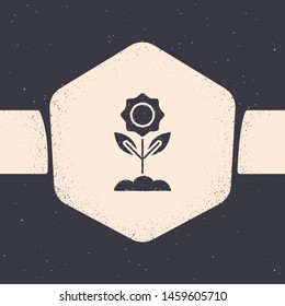 Grunge Flower icon isolated on grey background. Monochrome vintage drawing. Vector Illustration