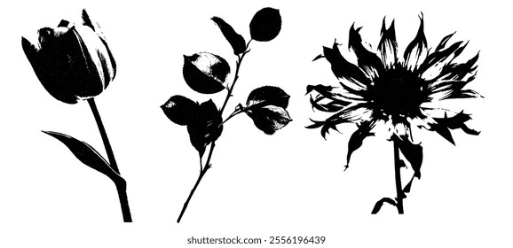 Grunge flower stamp set with ink overprint effect. Hand drawn black vector silhouettes of floral collection.