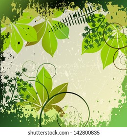 Grunge frame with plants elements - vector