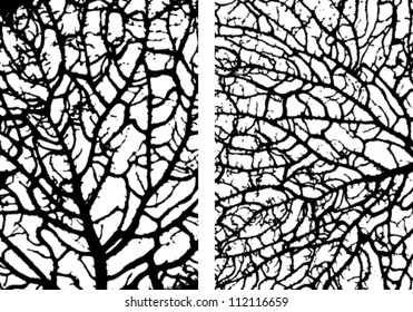 Grunge frame texture. Tree silhouette wallpaper pattern. Illustration background.